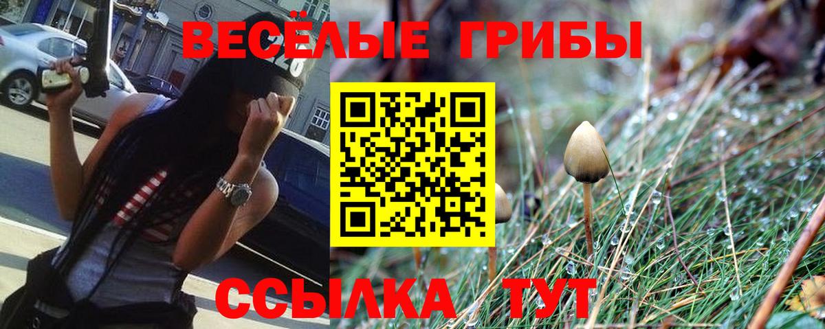 Альметьевск  Псилоцибиновые грибы мицелий  купить наркотики сайты  Вход с VPN 