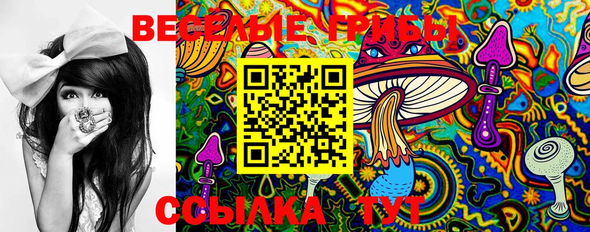 Галлюциногенные грибы мухоморы Альметьевск