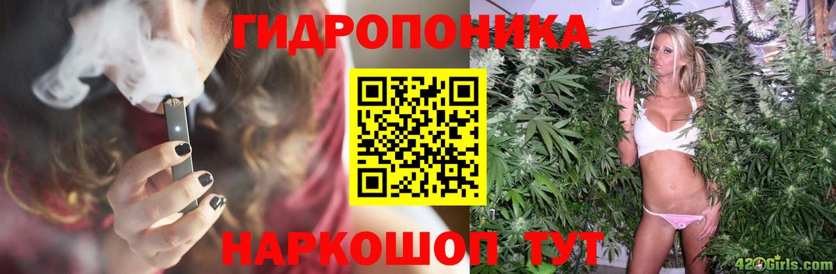 Марихуана сатива  Вход с VPN  Альметьевск  Конопля ГИДРОПОН  Канабис THC 21%  Бошки марихуана LSD WEED 